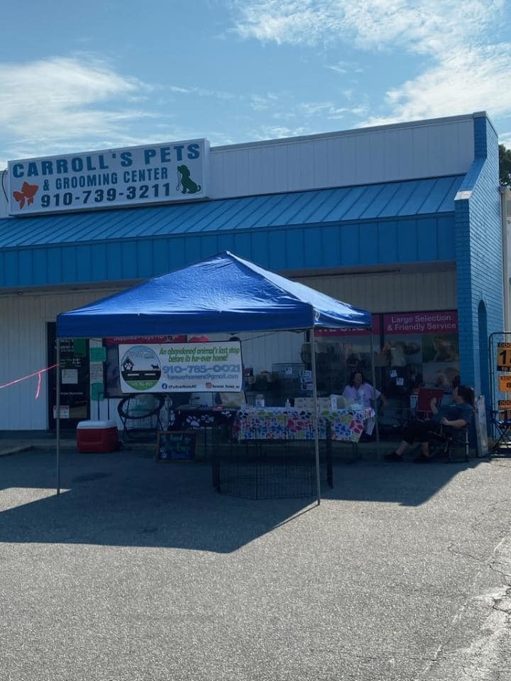 Adoption Fair at Carroll's Pets in Lumberton, NC