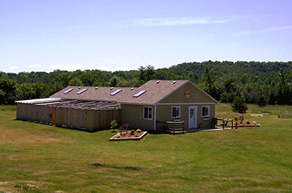 M & M Country Pet Resort