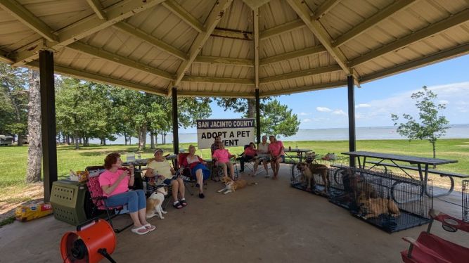 San Jacinto County Animal Shelter