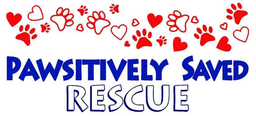 Pawsitively Saved Rescue
