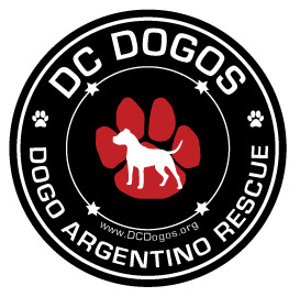 DC Dogos Inc