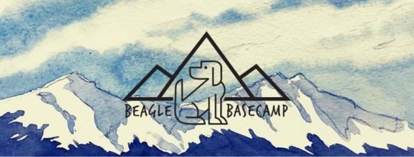 Beagle Basecamp