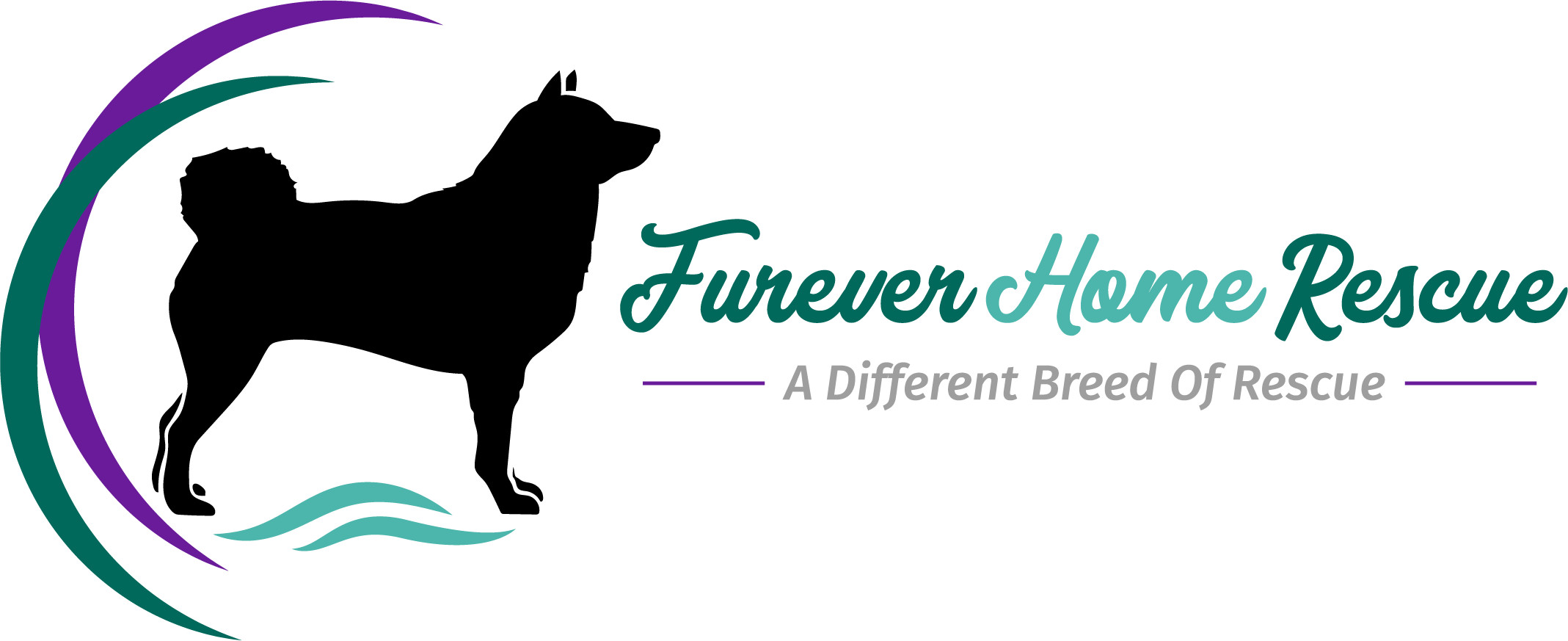 Furever homes sale rescue