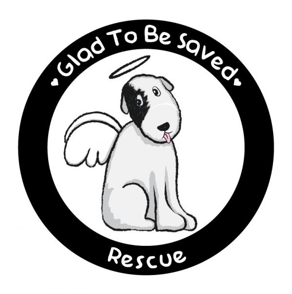 Glad To Be Saved Rescue