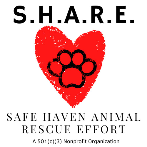 Safe Haven Animal Rescue Effort