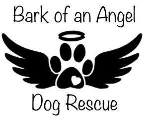 Bark of an Angel Dog Rescue,inc