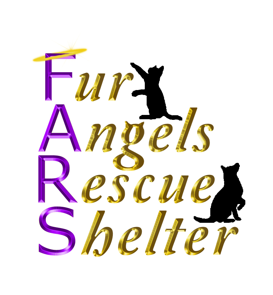 Fur Angels Rescue Shelter
