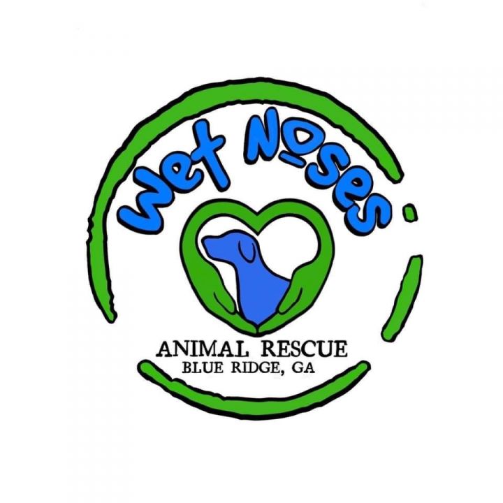 Wet Noses Animal Rescue
