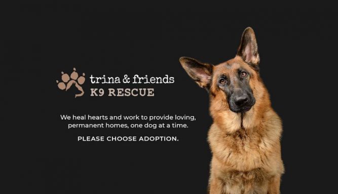 Trina & Friends K9 Rescue