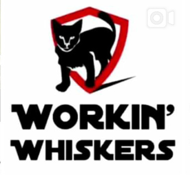 WORKIN' WHISKERS INC