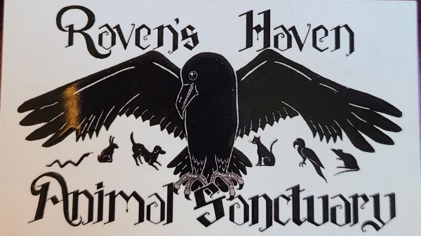 Raven's Haven Animal Sanctuary