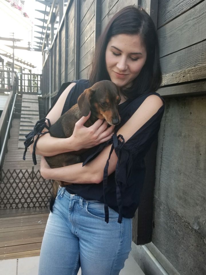 Portland Dachshund Rescue Founder April