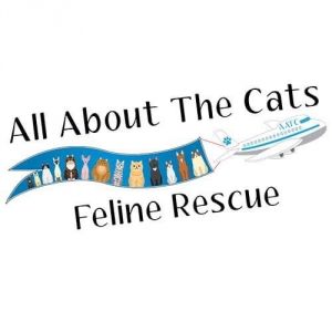 All About the Cats Rescue