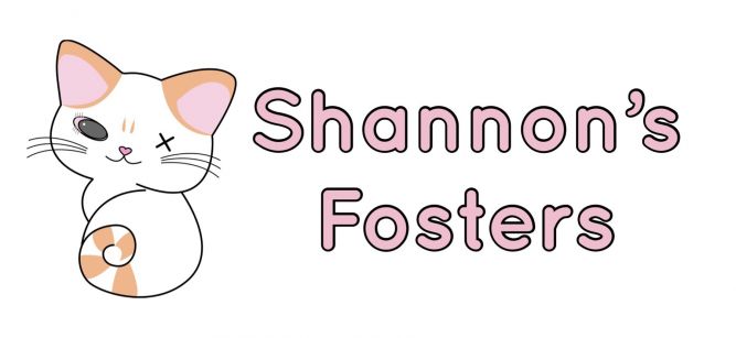 Shannon's Fosters