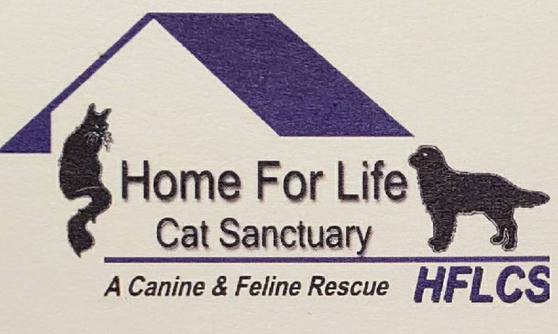 Home For Life Cat Sanctuary (HFLCS)