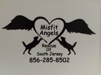 MISFIT ANGELS RESCUE OF SOUTH JERSEY, INC