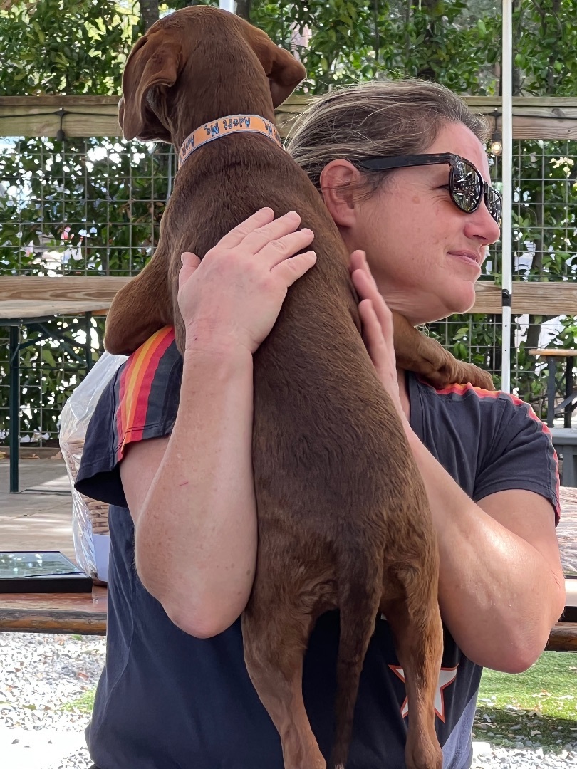 Waiting Under the Willow Foundation / WUWF Rescue