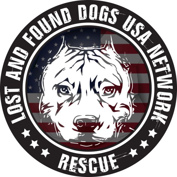 Lost and Found Dogs USA Network