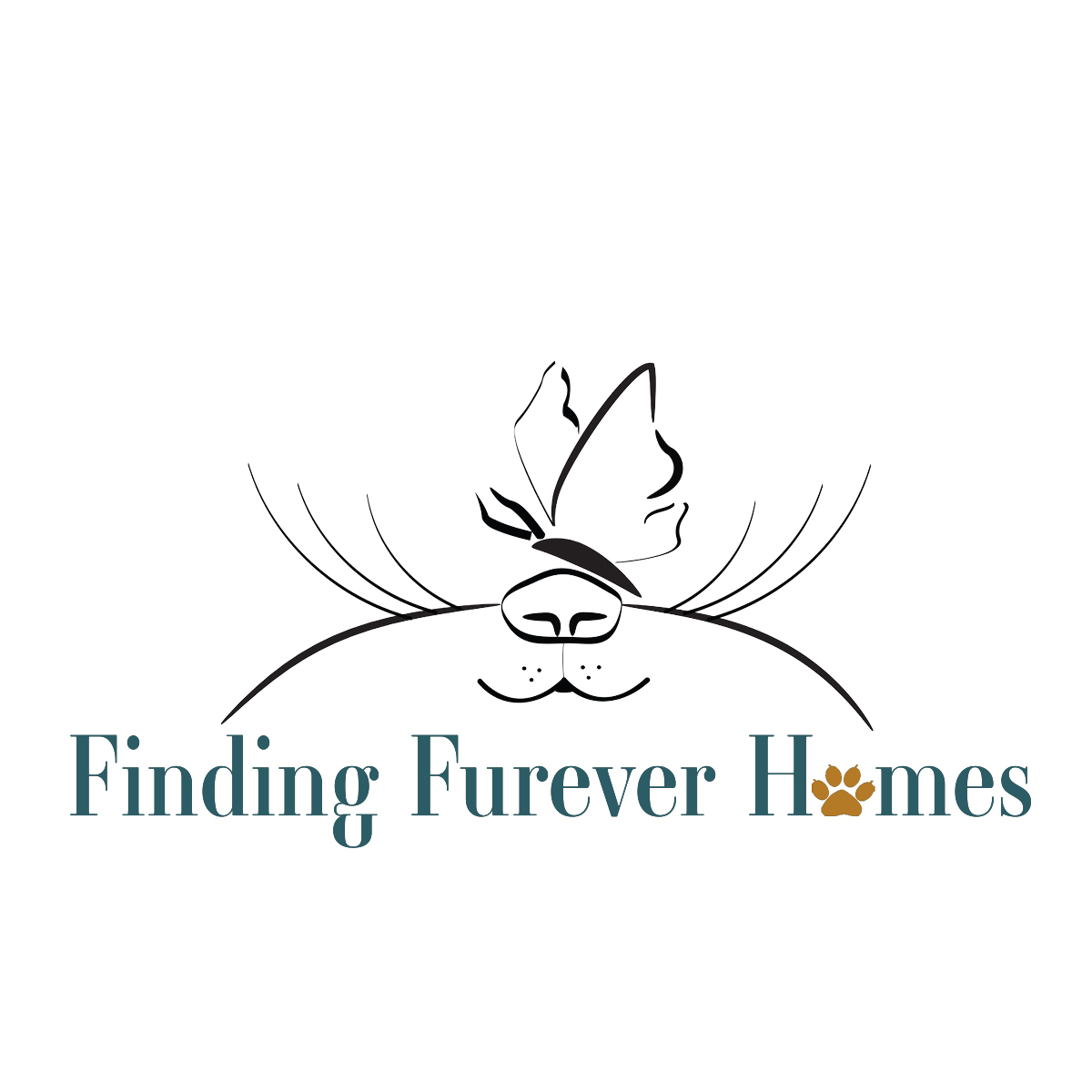 Finding Furever Homes