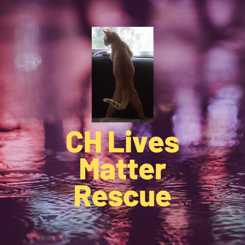 CH Lives Matter Rescue, Inc