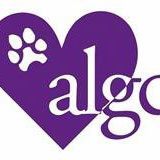 Animal League of Gaston County dba The Gaston Low-Cost Spay/Neuter Clinic