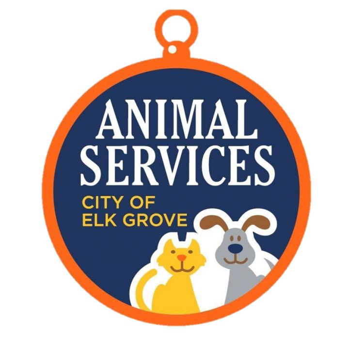 Pets for Adoption at City of Elk Grove Animal Services, in Elk Grove