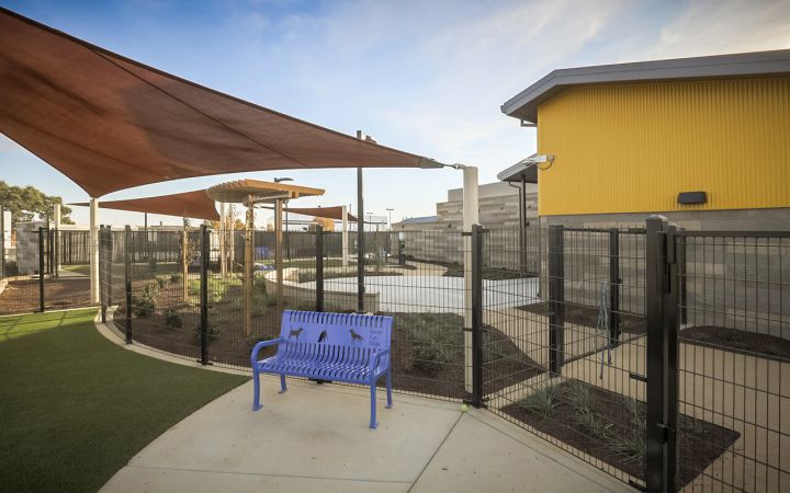 Pets for Adoption at City of Elk Grove Animal Services, in Elk Grove