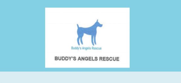 Buddy's Angels Rescue