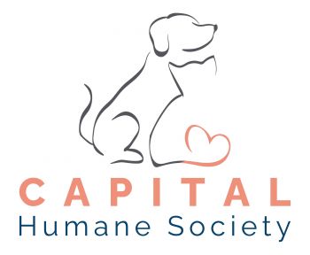 Pets for Adoption at Capital Humane Society, in Lincoln, NE | Petfinder
