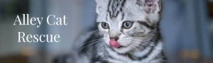 Alley Cat Rescue