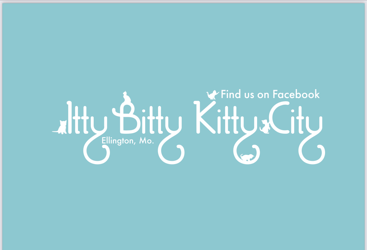 Itty Bitty Kitty City