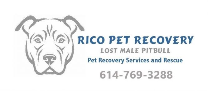 Rico Pet Recovery
