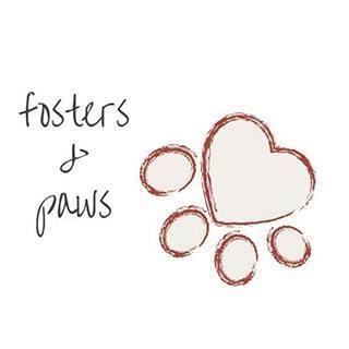 Fosters and Paws