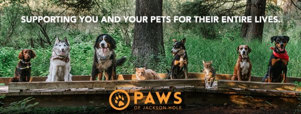 PAWS of Jackson Hole