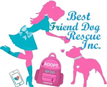 Looking for a new best friend?