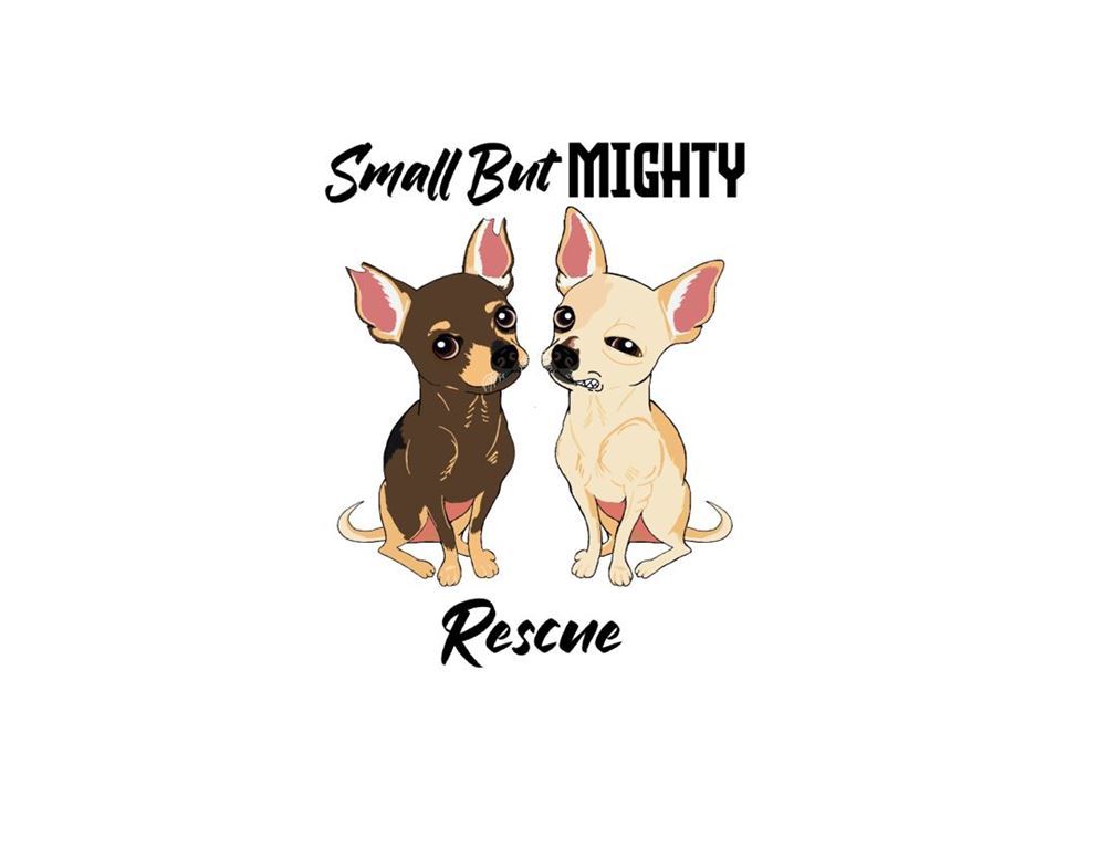 Small rescue hot sale