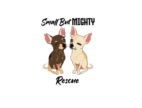 Small But Mighty Dog Rescue