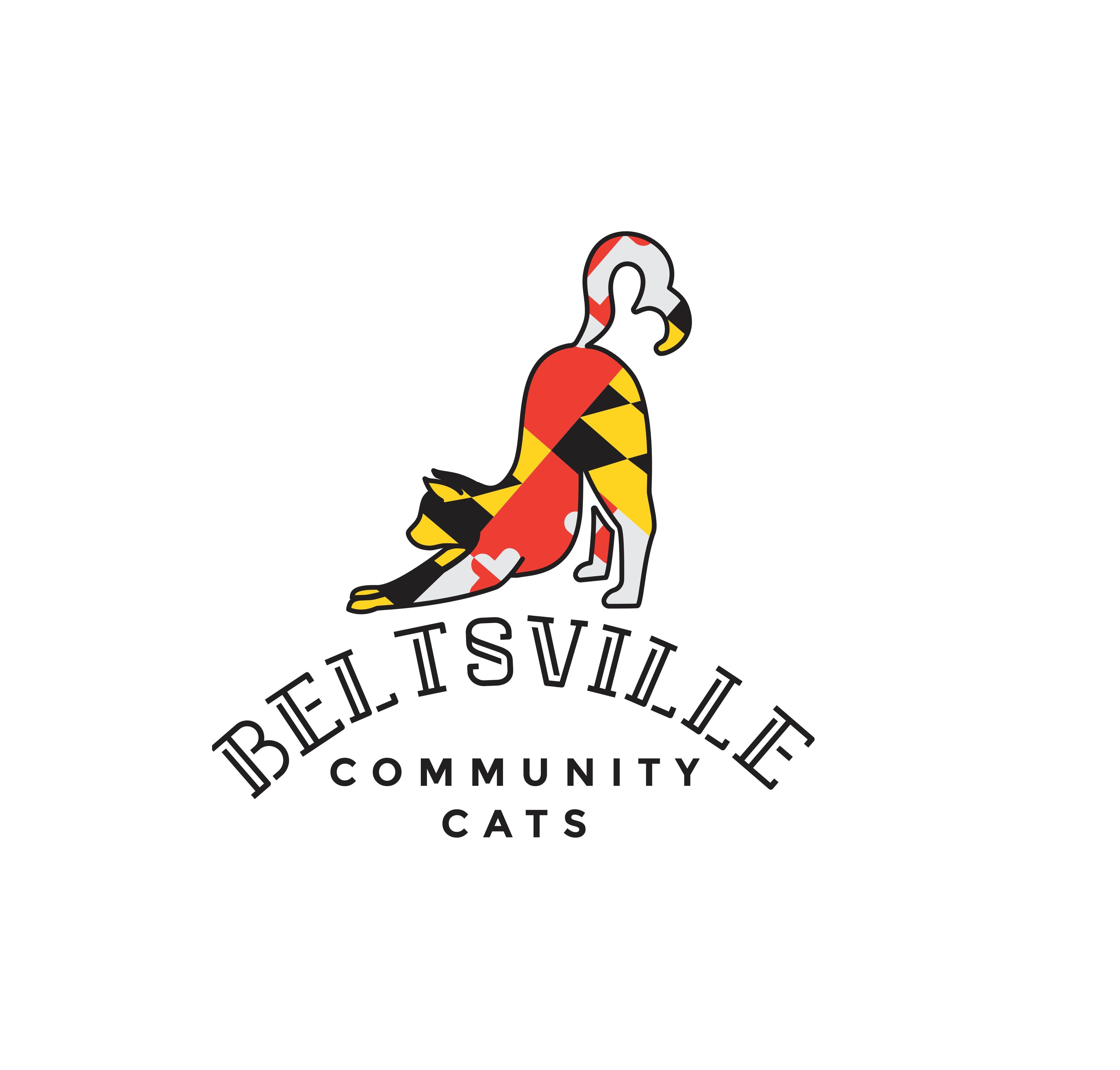 Beltsville Community Cats - Early in February, Beltsville Community Cats  got a call about a sick cat. Someone had found the cat beside a dumpster  and taken it in. They could not