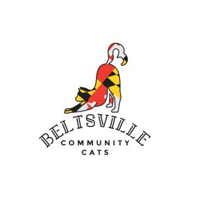 Beltsville Community Cats