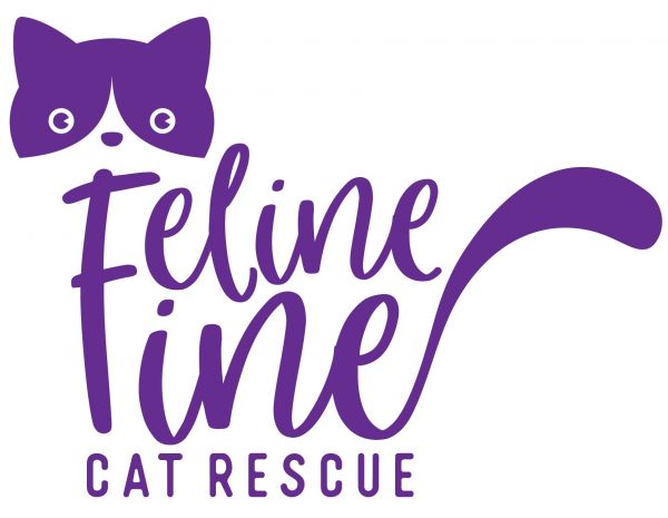 Feline Fine Cat Rescue