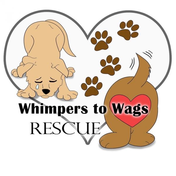 Whimpers to Wags Rescue, Inc.
