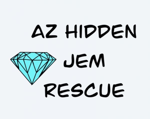 Az Hidden Jem Rescue