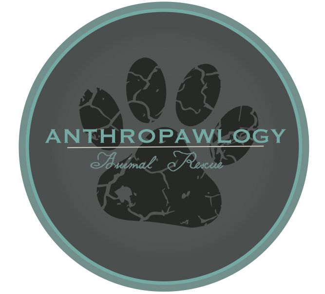 Anthropawlogy Animal Rescue