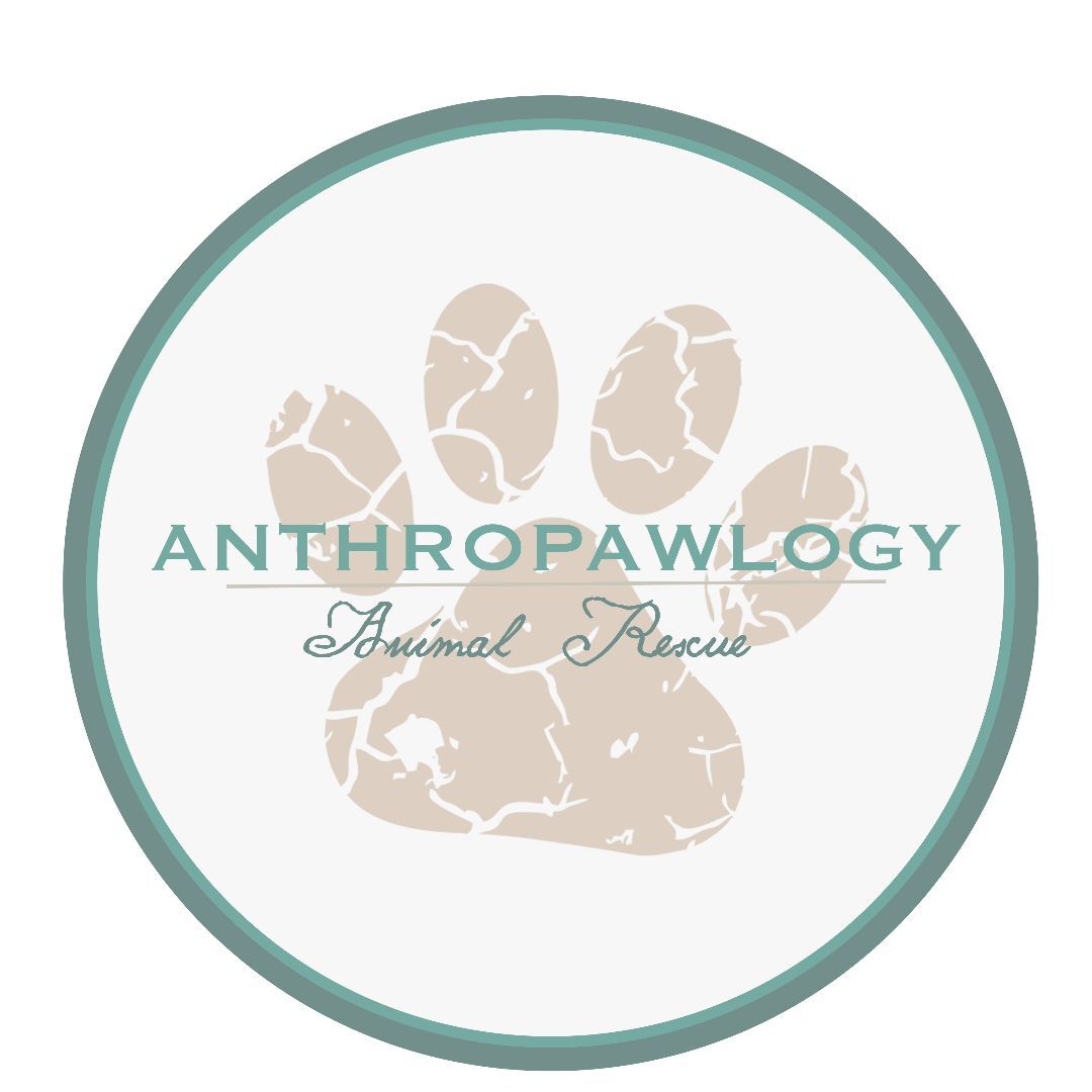 Anthropawlogy Animal Rescue