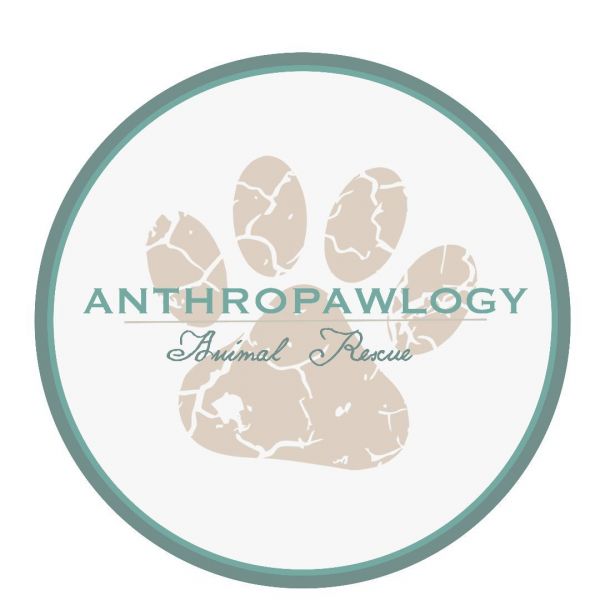 Anthropawlogy Animal Rescue