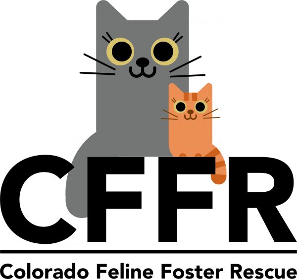 Colorado Feline Foster Rescue