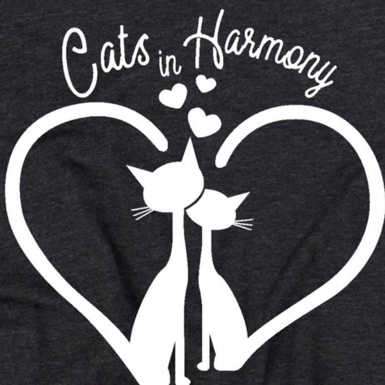 Cats in Harmony Rescue