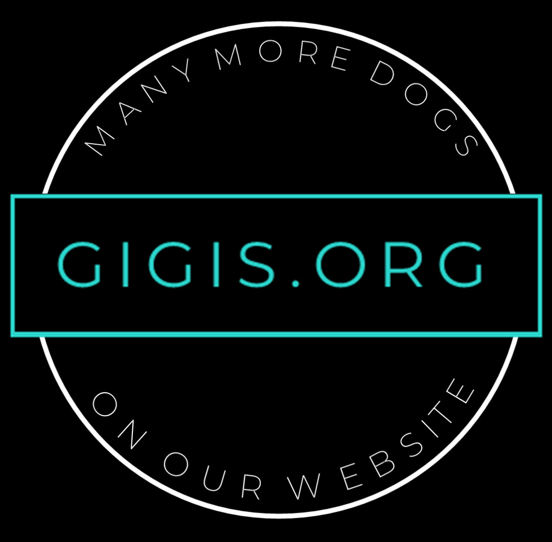 Gigi's