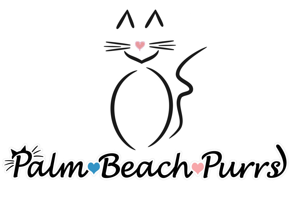 Palm Beach Purrs