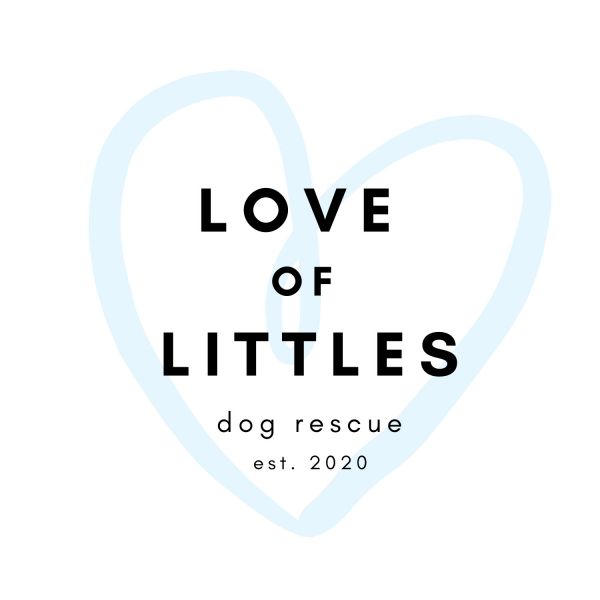 Love of Littles Dog Rescue and Foundation